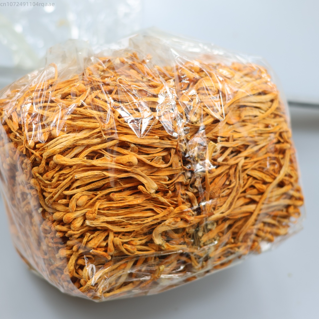 250g/500g Premium Natural Drie - đánh giá và giá Candle Making Tutorial